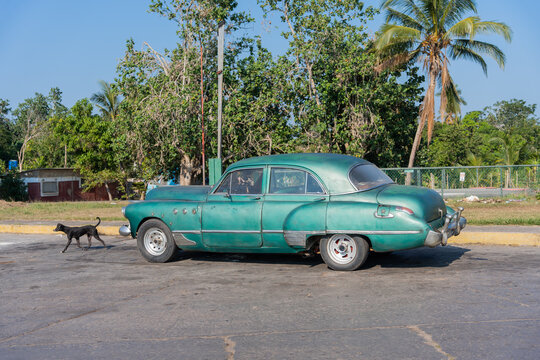 Green Vintage Car Parked Next To Palm Trees In Cuba.