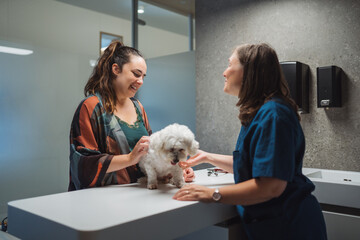 Female veterinarian and owner caressing dog