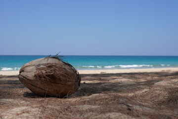 Coconuts on the beach, cut the sky, sea water, Phang Nga, Thailand