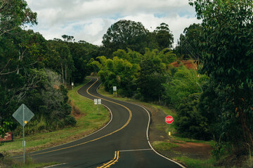 Fototapeta na wymiar beautiful road through the nature of kauai, hawaii