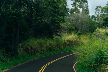 beautiful road through the nature of kauai, hawaii