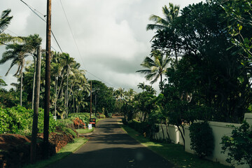 Obraz premium beautiful road through the nature of kauai, hawaii