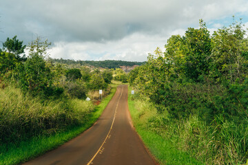 beautiful road through the nature of kauai, hawaii