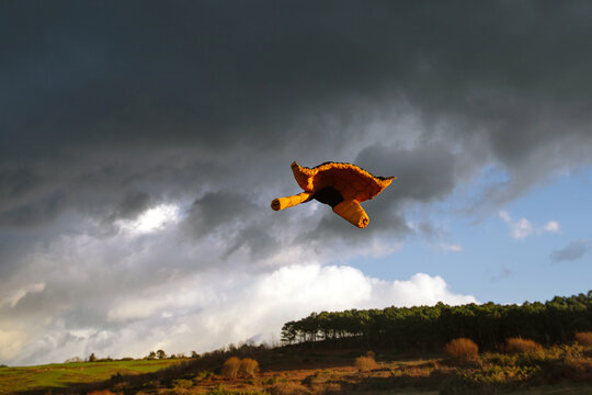 a yellow jacket in the air 