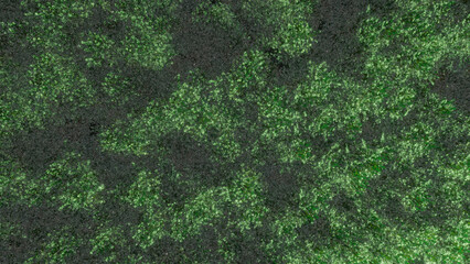 Trees and sky swaying in the wind