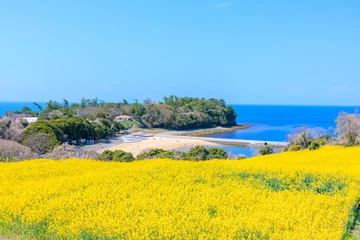 Fotobehang Oranje 春の長崎鼻　菜の花畑　大分県豊後高田市　Nagasakibana in spring. field of rape blossoms. Ooita Pref, Bungotakada City.  © M・H