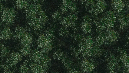 Trees and sky swaying in the wind