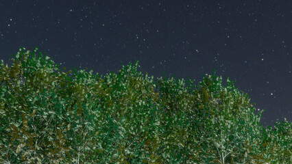 Trees and sky swaying in the wind