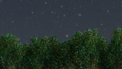 Trees and sky swaying in the wind