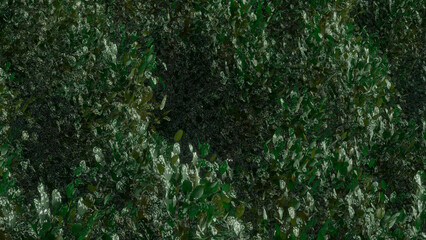 Trees and sky swaying in the wind