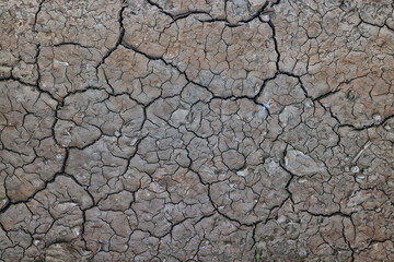 cracks on the ground desert texture background earth climate ecology
