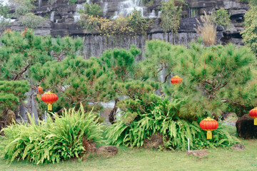 Chinese lunar new year lantern decoration