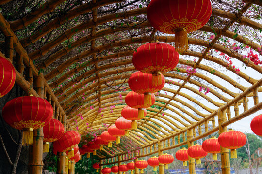 Chinese lunar new year lantern decoration