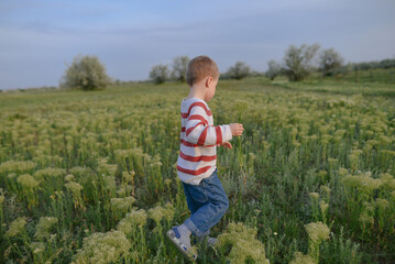 
portrait of a boy with blond hair