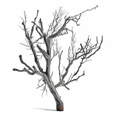 Fototapeta premium Dry Dead Branch. Generative AI
