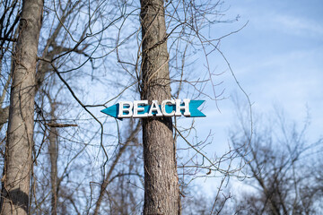 broken tree trunk against the blue sky