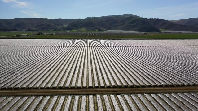 2023 - Excellent aerial footage moving over covered crops on farmland in Lompoc, California.