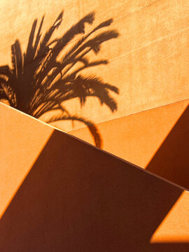 warm shadows