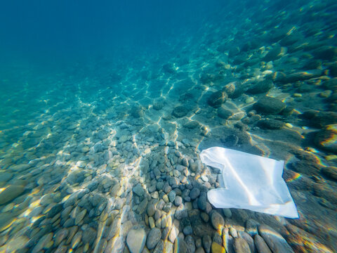plastic bag in the sea