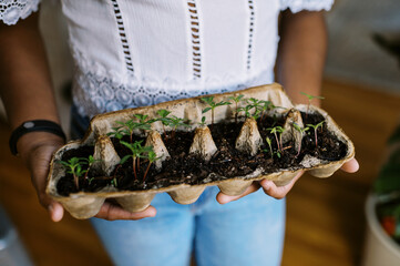 Black girl holding sustainable egg carton seedling container in hands