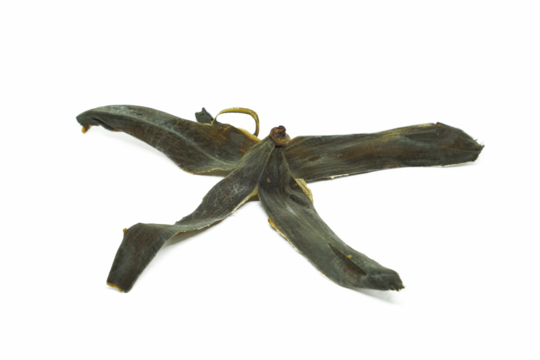 dried banana peels on a white background