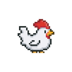 Obraz premium Chicken white color, pixel art animal