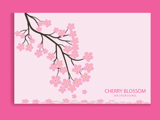 Japanese cherry blossom tree on pink background vector illustration.
