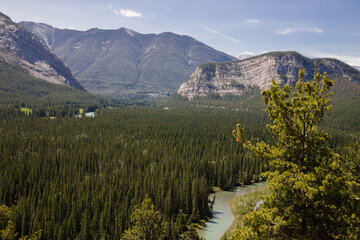 Bow River Valley - clear blue water, pine forest island, beautiful Rundle Mountains in the background all around - Banff Summer Tourism