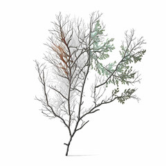 tree branch. Generative AI