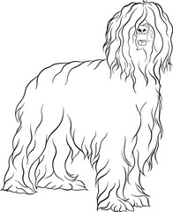 Briard dog breed doodle style line drawing vector black and white illustration