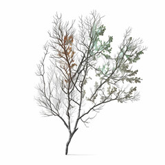 Obraz premium tree branch. Generative AI