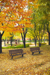 Fototapeta na wymiar Two chairs in the park in autumn