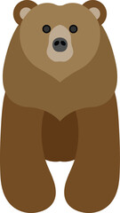 brown bear cartoon vector image
