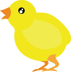 Chick vector image