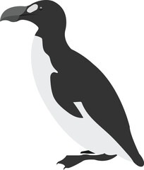 Fototapeta premium Great auk bird vector image