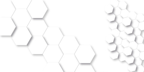 Abstract background with hexagons and Background with hexagons . Abstract background with lines . white texture background . white and hexagon abstract background. white paper texture.