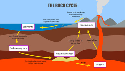 The rock cycle, How rocks are formed