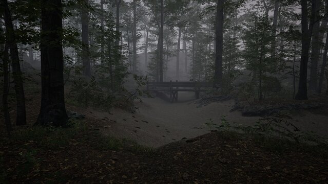 Misty Forest