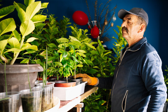 Gardener appreciates his indoor plants 