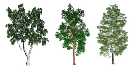 Set of 3d tree rendering, for digital composition, illustration, architecture, visualization