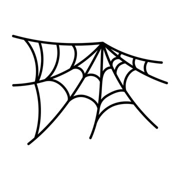 Spider Web 