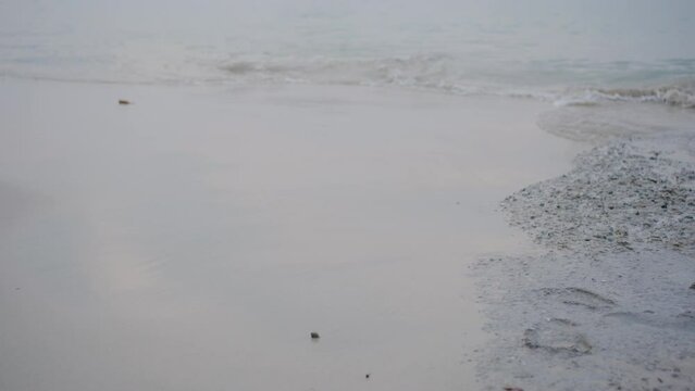 Amazing beach morning waves with endless horizon and lonely figures in the distance, and incredible foamy waves.