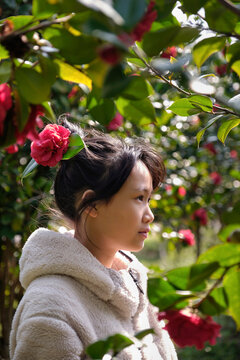 Asian girl picking fresh camellias.
in the camellia grove