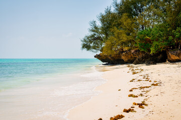 Experience the tranquility and beauty of Zanzibar Beach, where crystal-clear waters meet white...