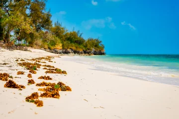 Cercles muraux Plage de Nungwi, Tanzanie The refreshing sea breeze during Zanzibar beach summers is a welcome respite from the heat.