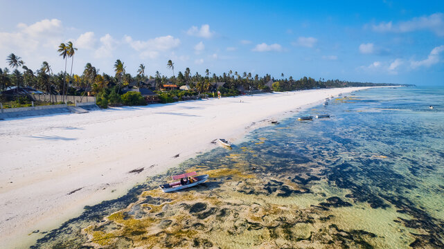 Experience the tranquility and beauty of Zanzibar Beach, where crystal-clear waters meet white sandy shores and the sounds of palm trees rustling in the breeze offer a calming escape.