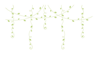 Green hanging vines vector illustration. Simple minimal floral botanical vine curtain design elements for spring. © Aletheia Shade