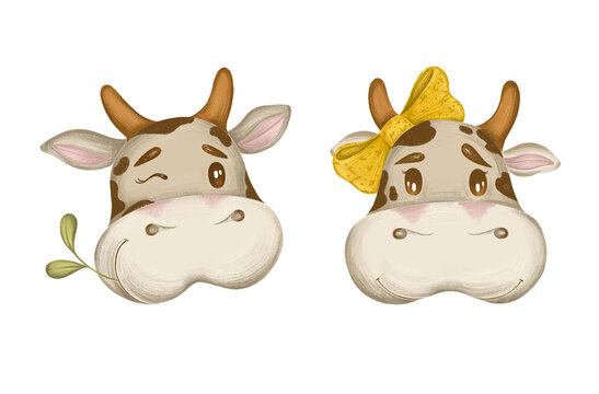 Сute boy and girl cows.