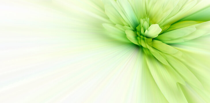 High key 3D extruded abstract of flowing colors