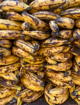 Bananas